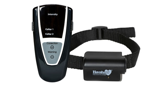 Remote Dog Trainer